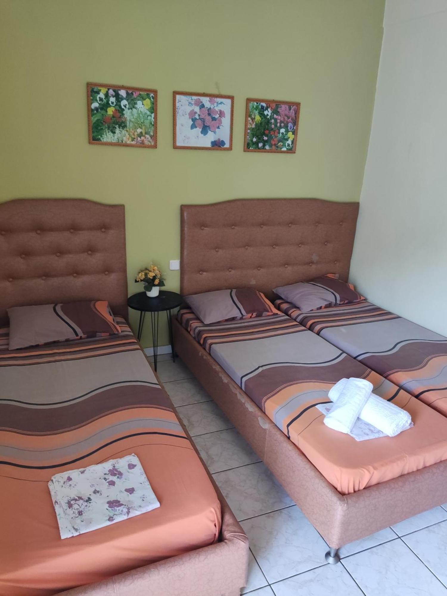 Olympiakí Aktí Villa Elli מראה חיצוני תמונה