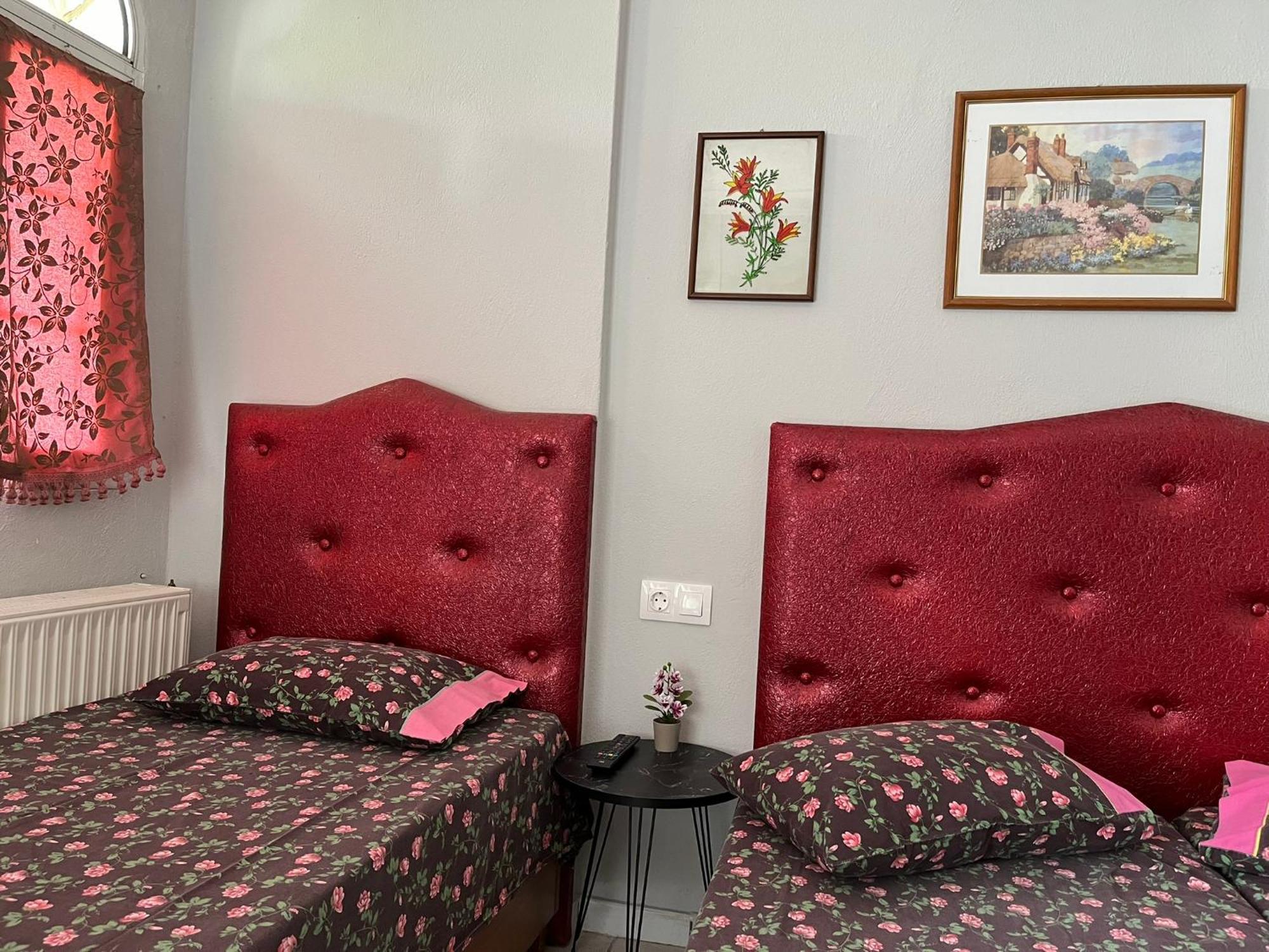 Olympiakí Aktí Villa Elli מראה חיצוני תמונה