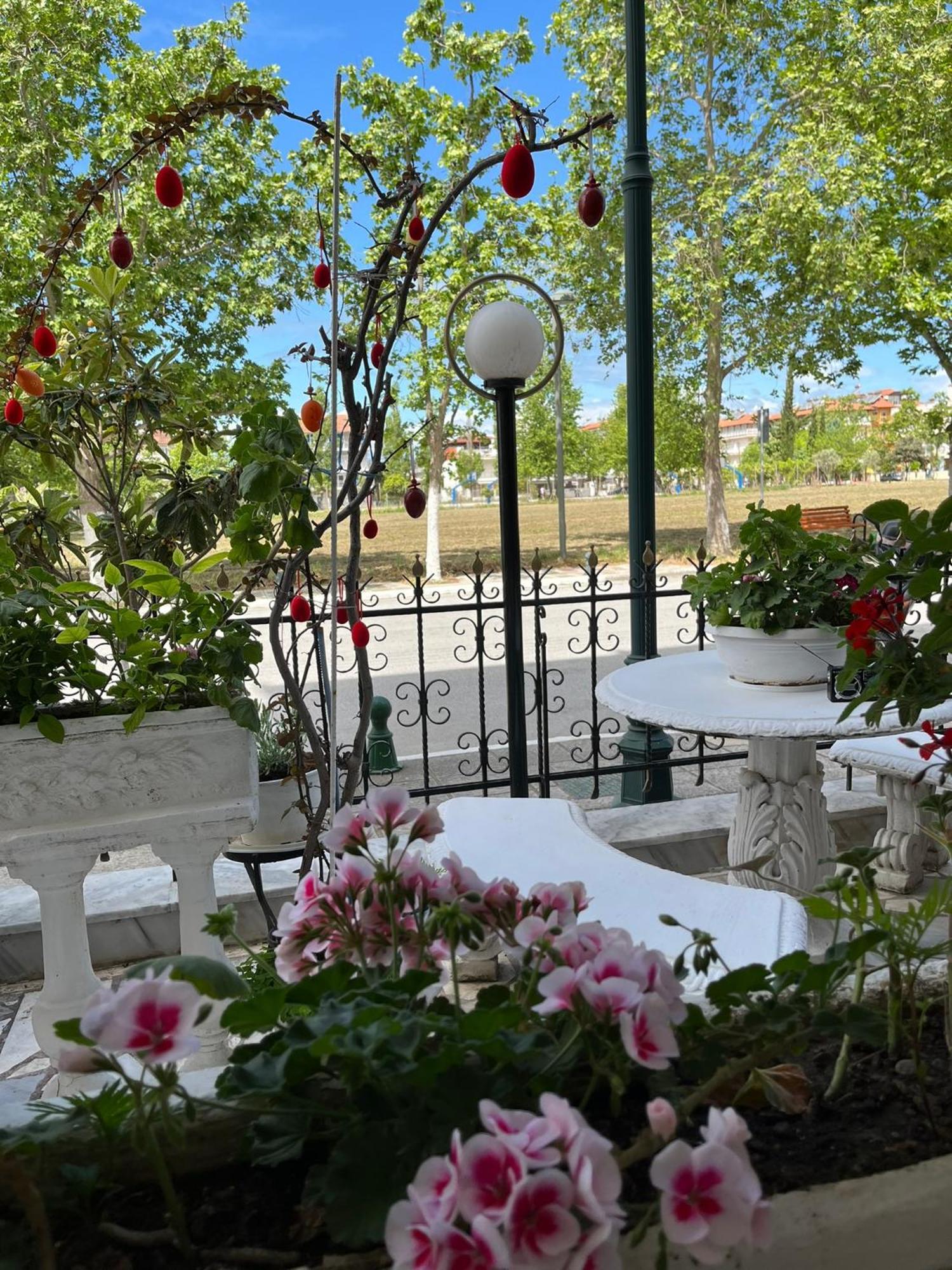 Olympiakí Aktí Villa Elli מראה חיצוני תמונה